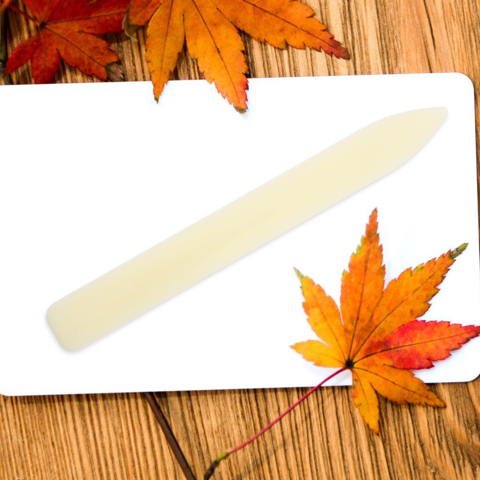 5 buah alat pembuat lipatan ke - Bone Folder Tool ulasan dan harga